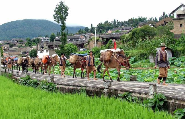 騰沖研學(xué)旅行社 騰沖研學(xué)旅行社