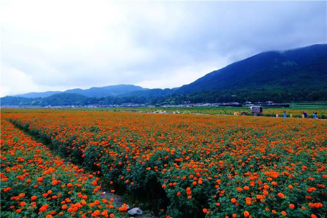 騰沖徒步路線馬拉松賽道 騰沖徒步路線馬拉松賽道