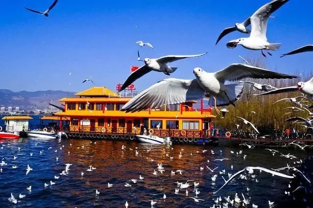 騰沖什么時候去最好，騰沖什么季節去最好？騰沖旅游季節時間推薦