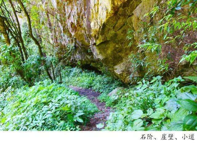 騰沖高黎貢山徒步之五道溪徒步 騰沖高黎貢山徒步之五道溪徒步