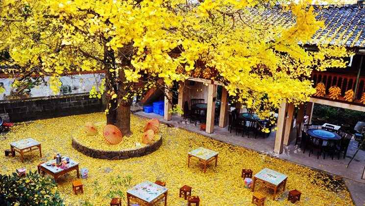 云南騰沖研學旅行：在研學中培養(yǎng)學生的創(chuàng)新精神和實踐能力