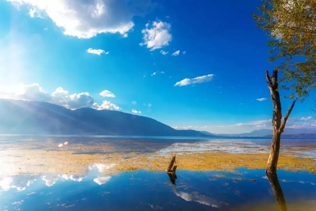 2021年的第一場(chǎng)旅游！騰沖，為何如此獨(dú)特？