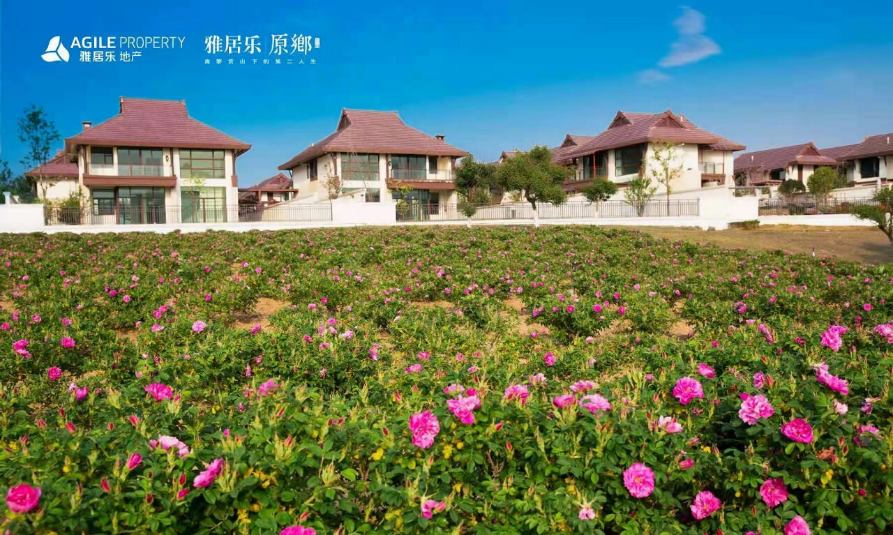 騰沖雅居樂原鄉棲花嶺景區 騰沖雅居樂原鄉棲花嶺景區