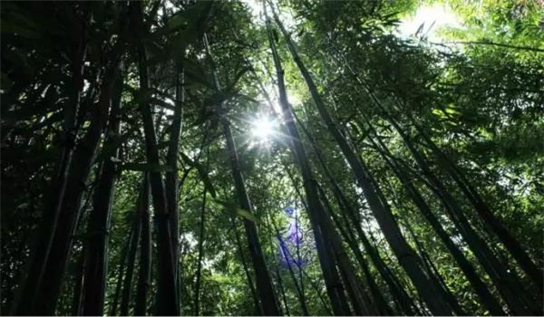 騰沖旅游 騰沖旅游