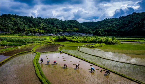 騰沖旅游 騰沖旅游