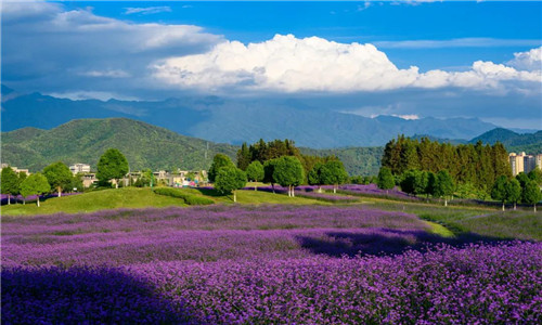 騰沖旅游 騰沖旅游