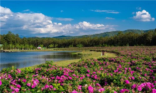 騰沖旅游 騰沖旅游