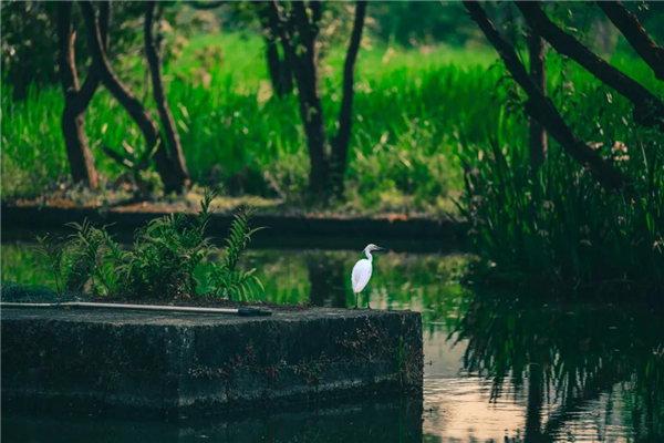 騰沖旅游 騰沖旅游
