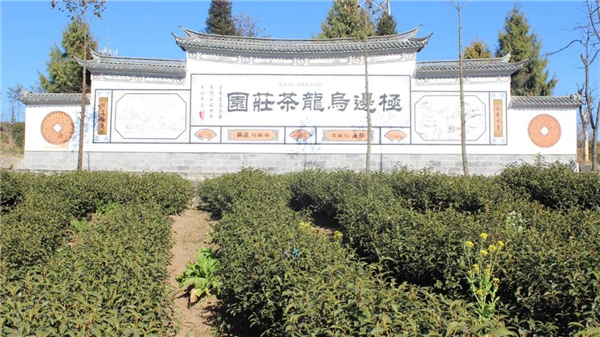 騰沖旅游景點(diǎn) 騰沖旅游景點(diǎn)