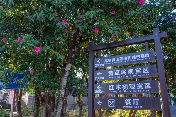 騰沖旅游 騰沖旅游
