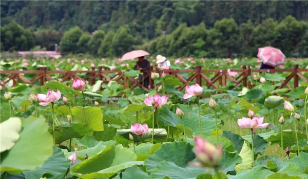 騰沖旅游 騰沖旅游