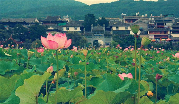 騰沖旅游 騰沖旅游