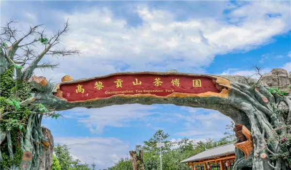 【國家AAA級景區(qū)】騰沖高黎貢山茶博園