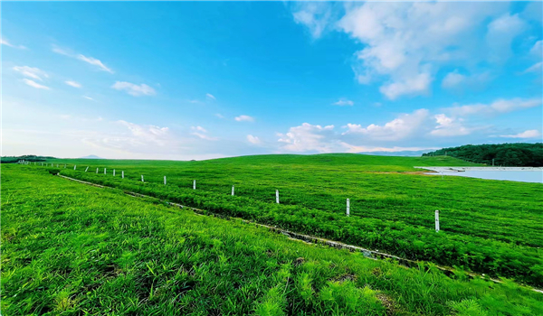 騰沖旅游 騰沖旅游