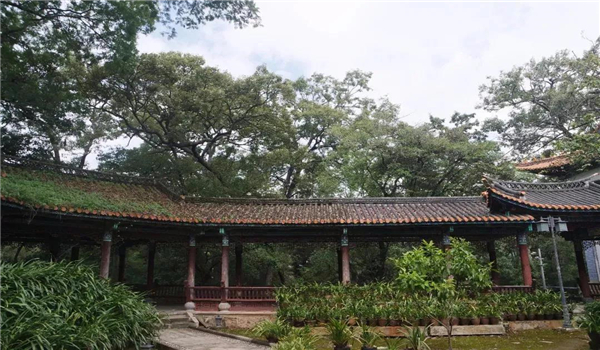 騰沖旅游 騰沖旅游