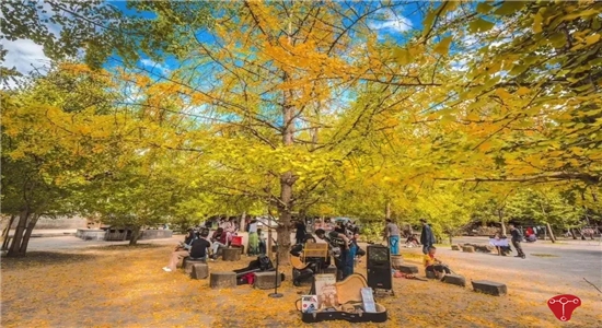 騰沖旅游 騰沖旅游