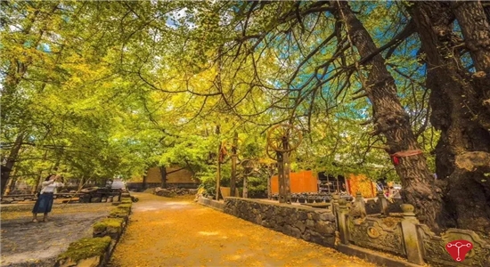 騰沖旅游 騰沖旅游