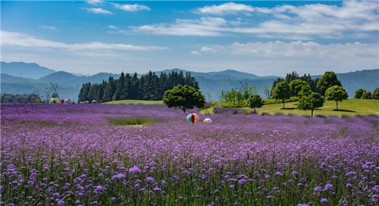 騰沖旅游景點 騰沖旅游景點