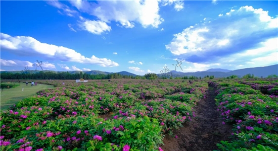 騰沖旅游 騰沖旅游