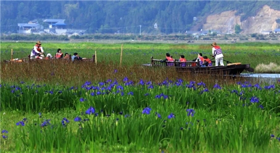 騰沖旅游 騰沖旅游