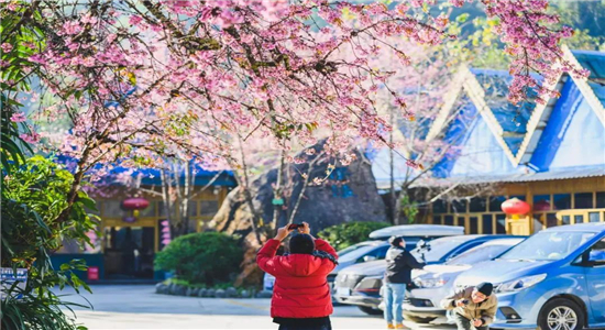 騰沖旅游 騰沖旅游