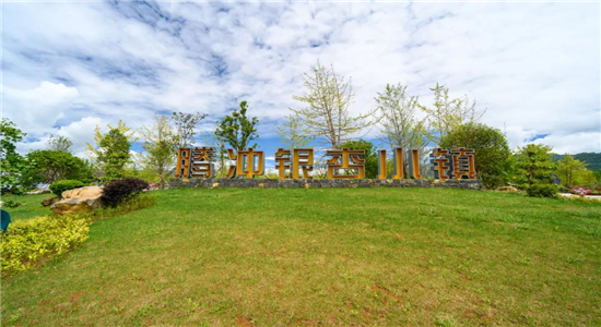 騰沖旅游 騰沖旅游