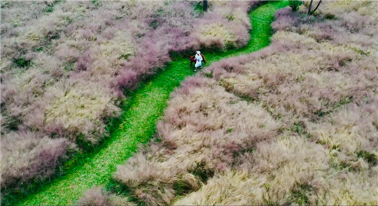 騰沖旅游 騰沖旅游