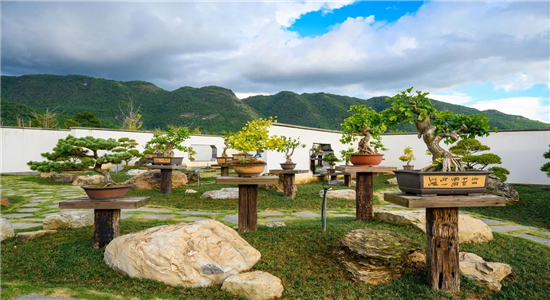 騰沖旅游景點(diǎn) 騰沖旅游景點(diǎn)