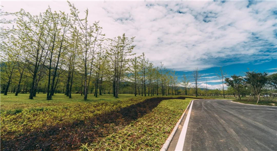 騰沖旅游 騰沖旅游