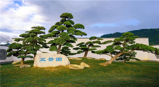 騰沖旅游 騰沖旅游