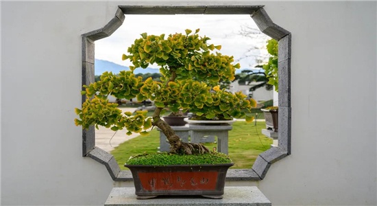 騰沖旅游景點(diǎn) 騰沖旅游景點(diǎn)
