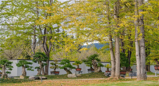 騰沖旅游景點(diǎn) 騰沖旅游景點(diǎn)