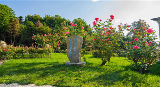 騰沖旅游 騰沖旅游