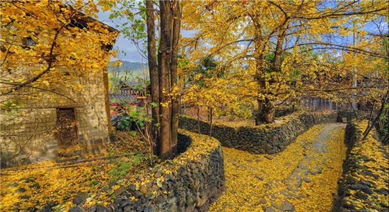 騰沖旅游 騰沖旅游
