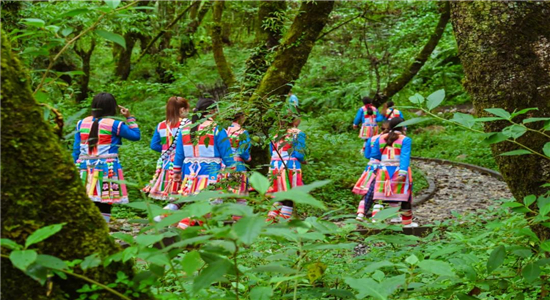 騰沖旅游 騰沖旅游