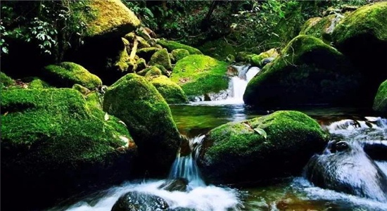 高黎貢山徒步 高黎貢山徒步