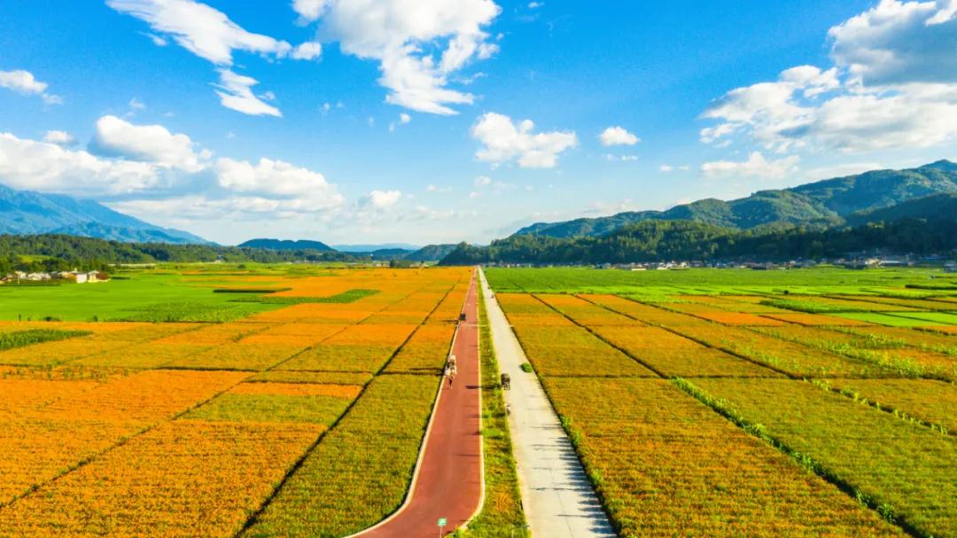騰沖資訊：來(lái)騰沖賞花海之路，玉璧古路，馬幫之路，世界之路，抗戰(zhàn)之路。