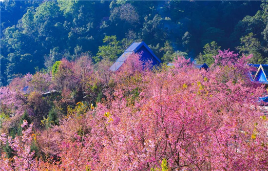 騰沖旅游 騰沖旅游