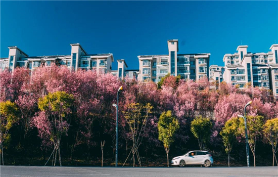 騰沖旅游 騰沖旅游
