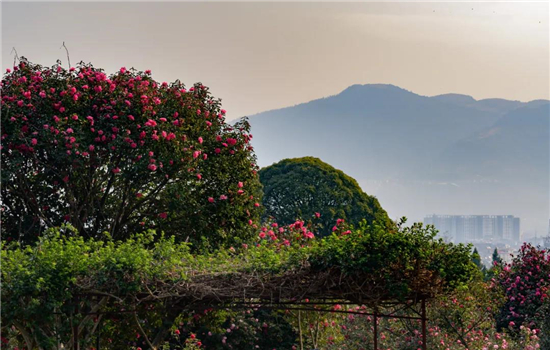 騰沖旅游 騰沖旅游