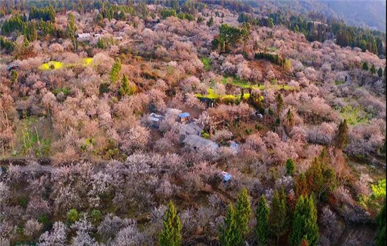 騰沖旅游 騰沖旅游