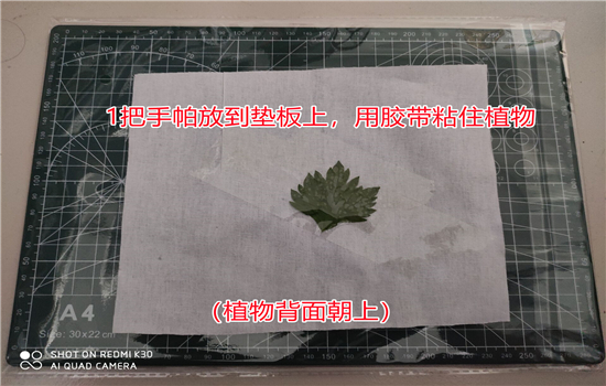 騰沖戶外拓展 騰沖戶外拓展