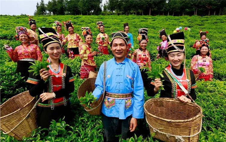 騰沖旅游 騰沖旅游