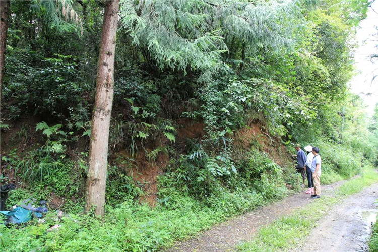 騰沖旅游 騰沖旅游