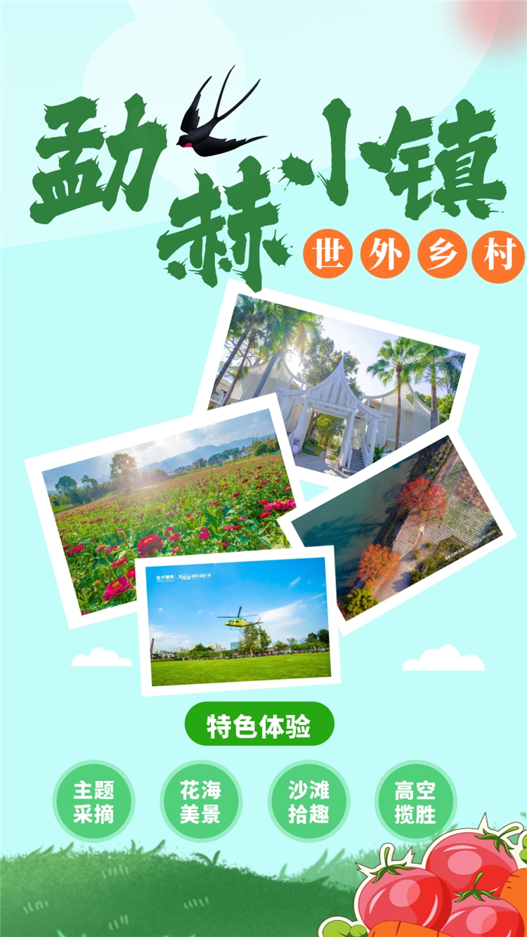 騰沖一日游 騰沖一日游