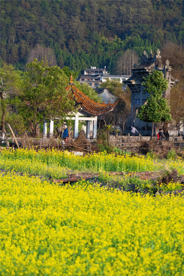 騰沖旅游 騰沖旅游