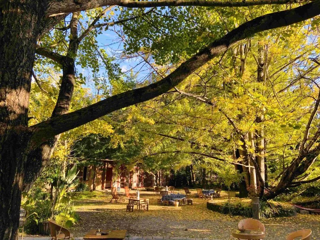 騰沖旅游 騰沖旅游