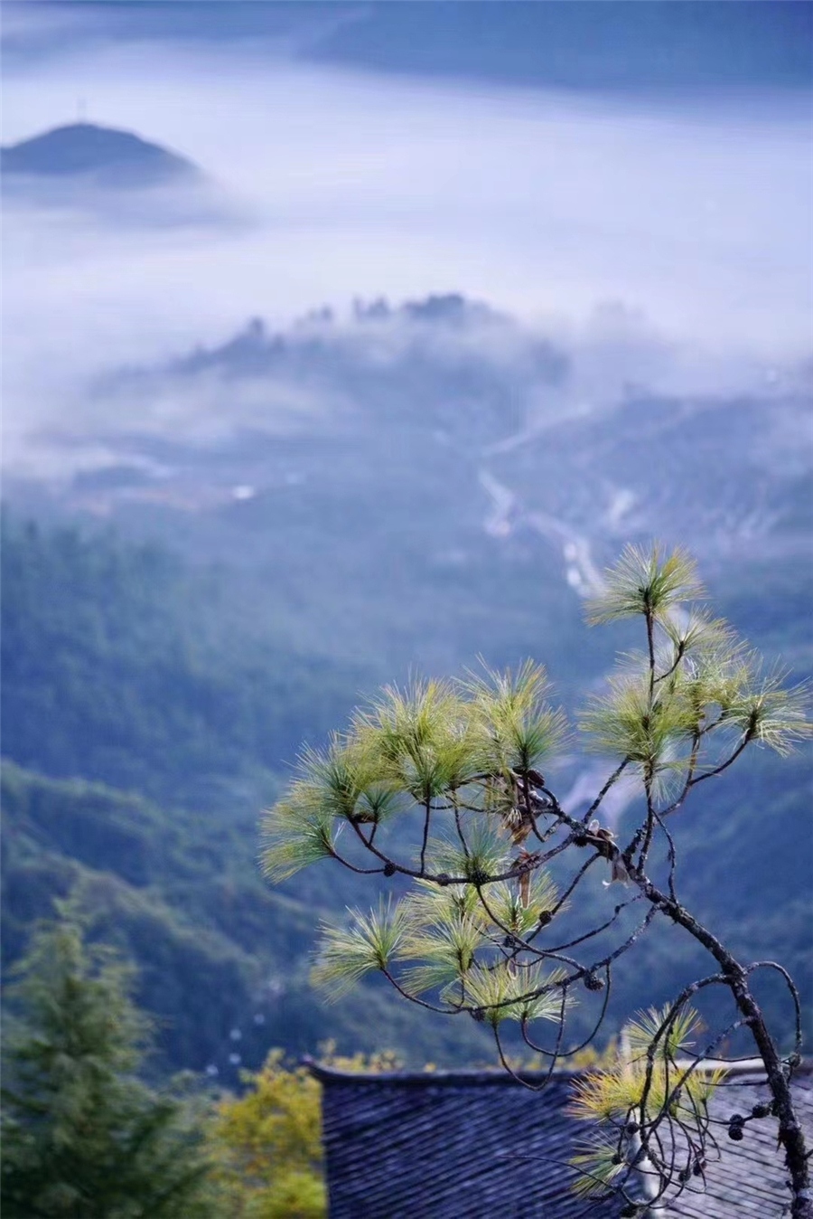 騰沖旅游 騰沖旅游