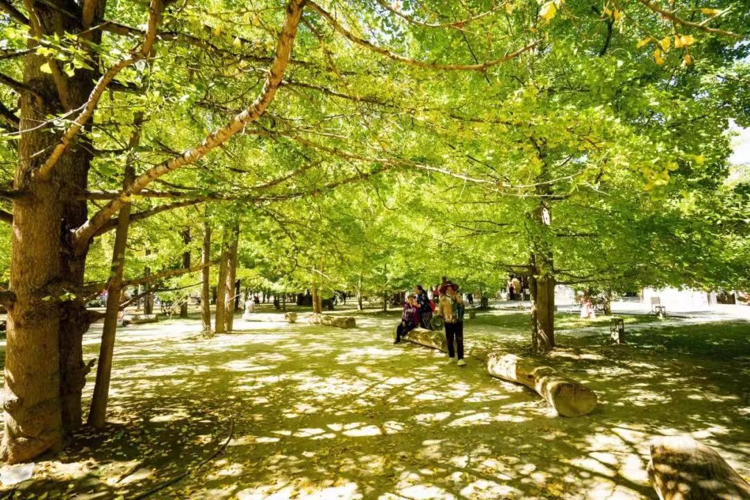 騰沖旅游 騰沖旅游