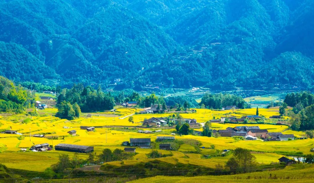 騰沖旅行社：騰沖旅游推薦,騰沖鄉鎮花樣游，陡山日出候君來，芒棒美景伴君行